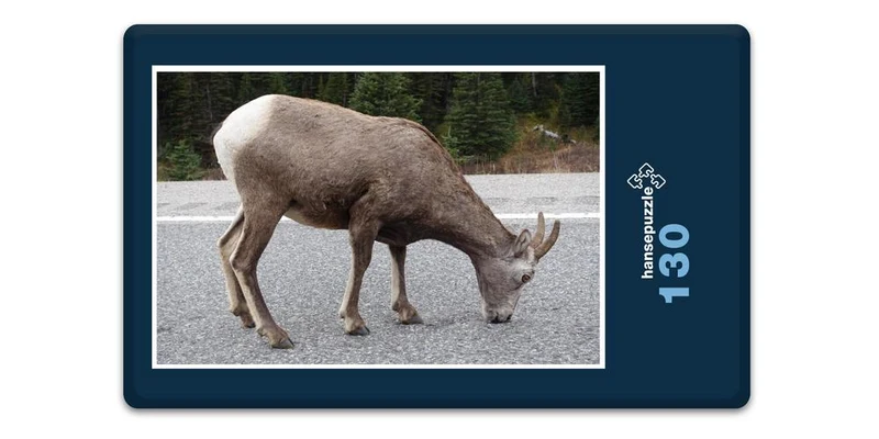 17008 Natur - Reh Puzzle