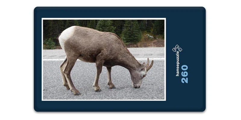 17008 Natur - Reh Puzzle