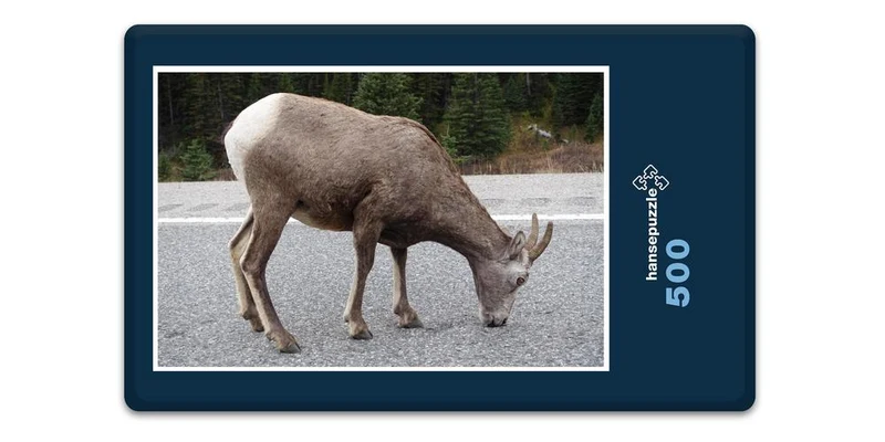 17008 Natur - Reh Puzzle
