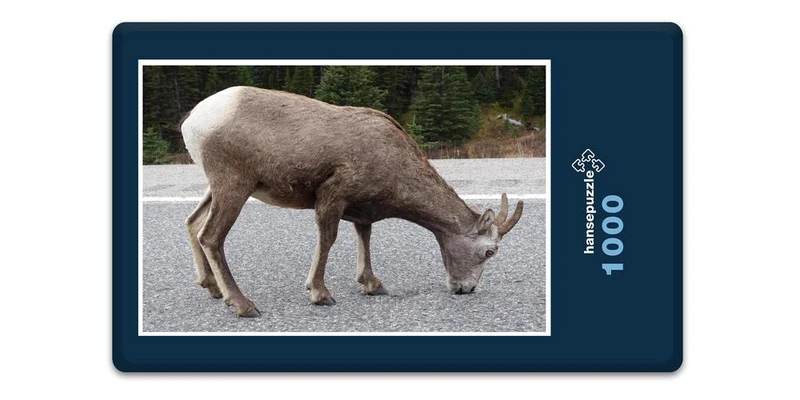 17008 Natur - Reh Puzzle
