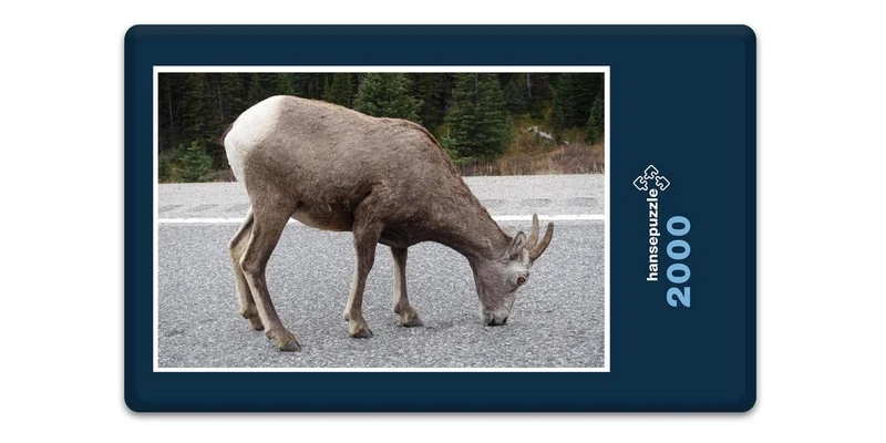 17008 Natur - Reh Puzzle