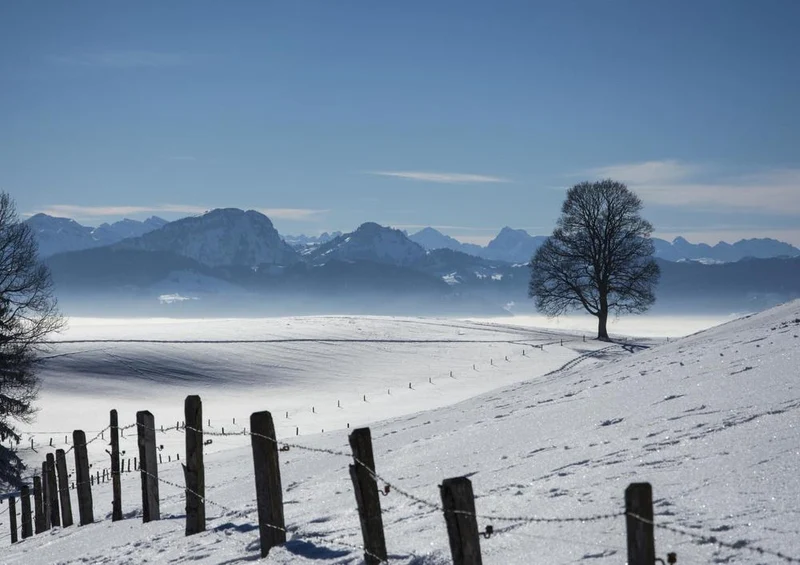 28224 Natur - Winterlandschaft Puzzle
