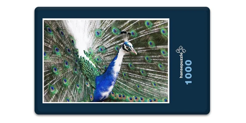 18044 Tierwelt - Vogel-Pfau Puzzle