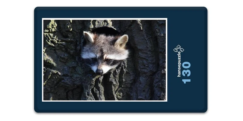 18043 Tierwelt - Waschbär im Baum Puzzle