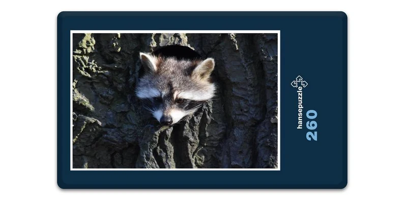 18043 Tierwelt - Waschbär im Baum Puzzle