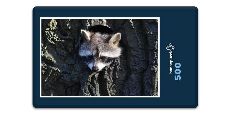 18043 Tierwelt - Waschbär im Baum Puzzle