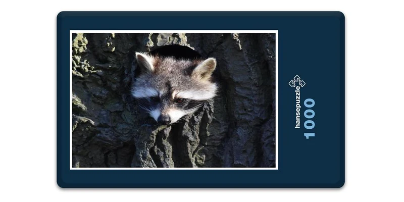 18043 Tierwelt - Waschbär im Baum Puzzle