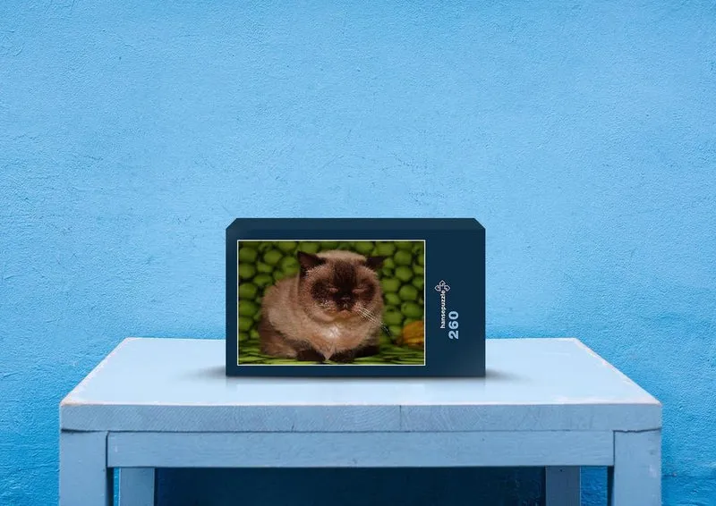 29219 Tierwelt - Katze Puzzle