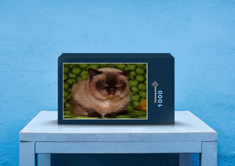 29219 Tierwelt - Katze Puzzle