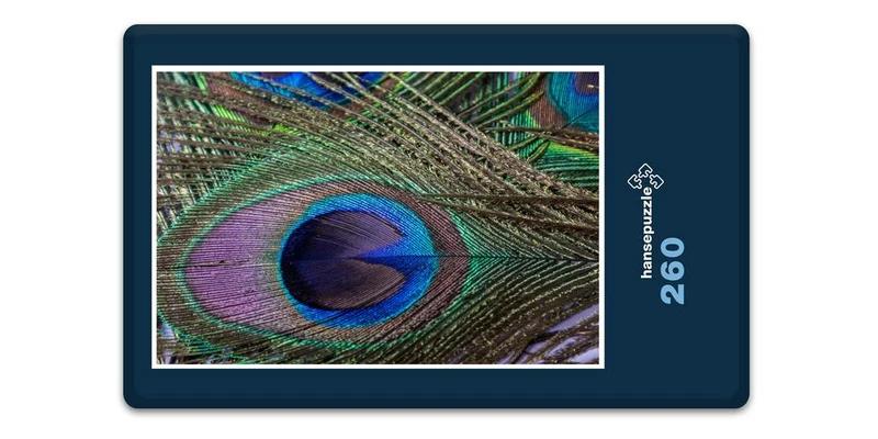17103 Tierwelt - Pfauenfeder Puzzle