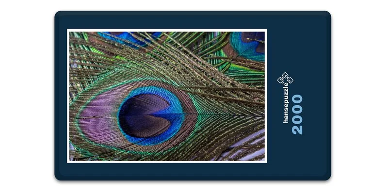 17103 Tierwelt - Pfauenfeder Puzzle