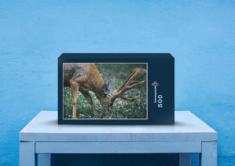 27128 Tierwelt - Tierfotografie Puzzle