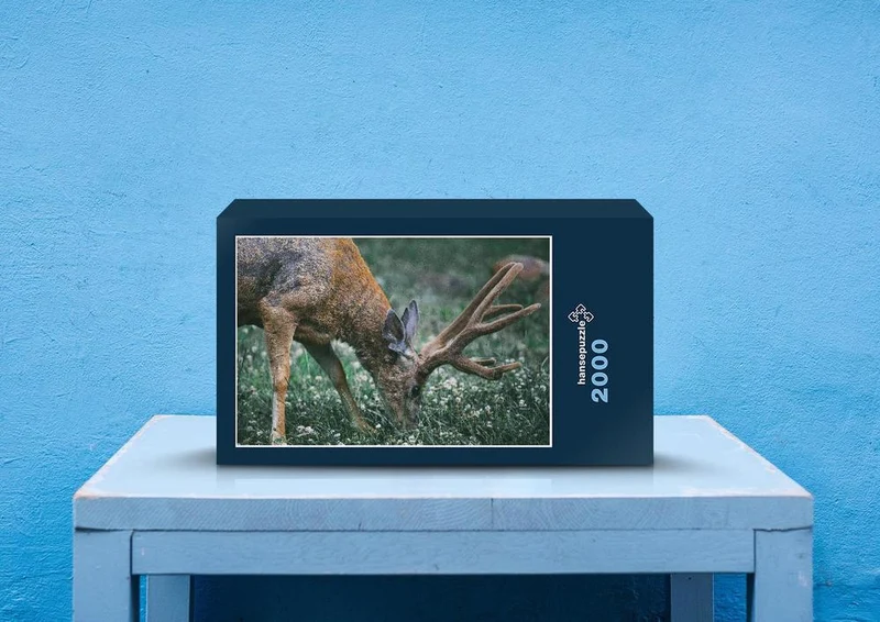 27128 Tierwelt - Tierfotografie Puzzle