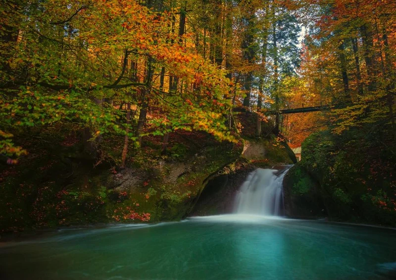 27183 Natur - Wasserfall Puzzle