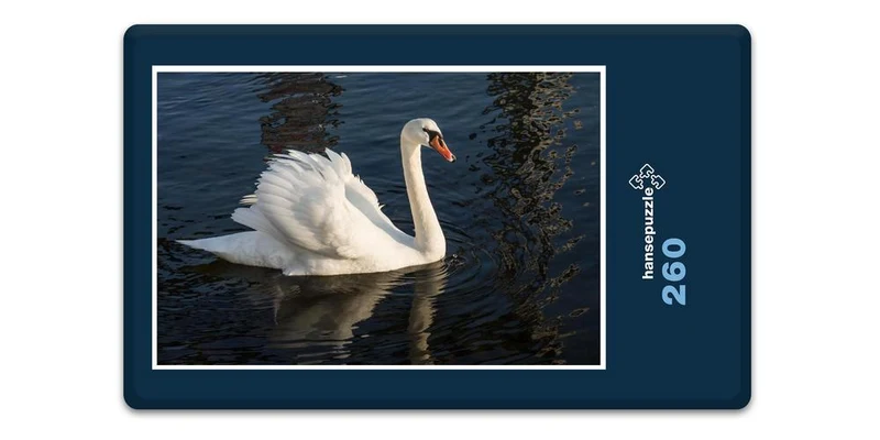 16999 Reisen - Schwan Puzzle