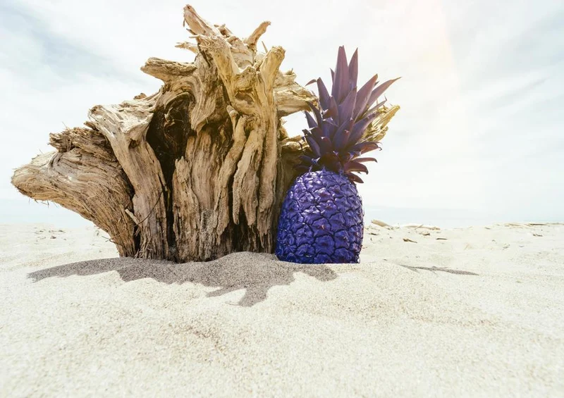 29034 Natur - Ananas Puzzle