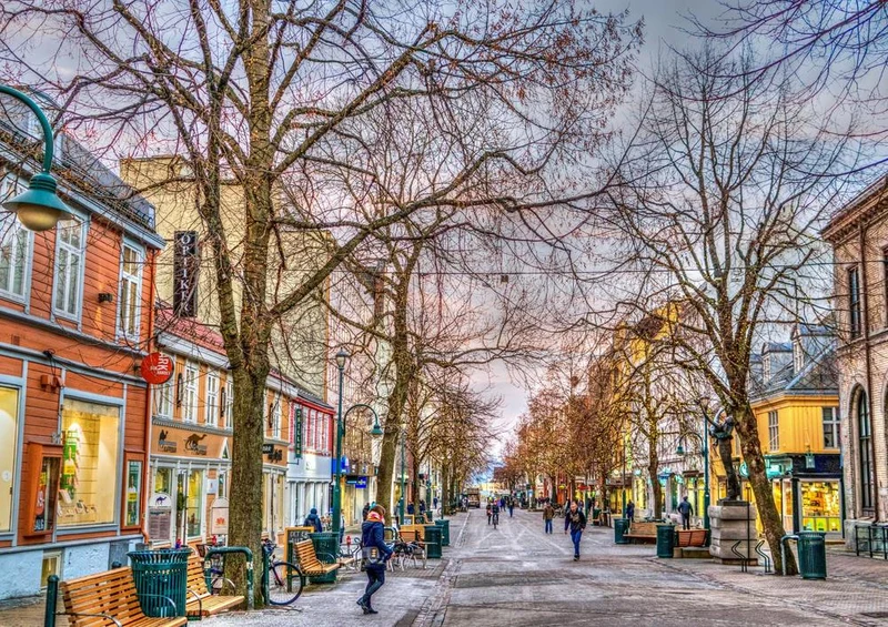 17021 Reisen - Trondheim Puzzle