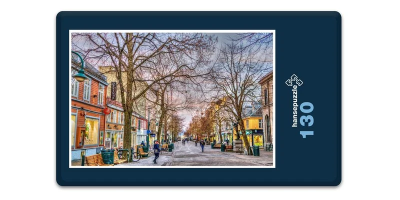 17021 Reisen - Trondheim Puzzle
