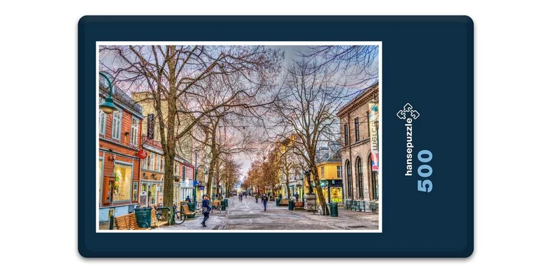 17021 Reisen - Trondheim Puzzle