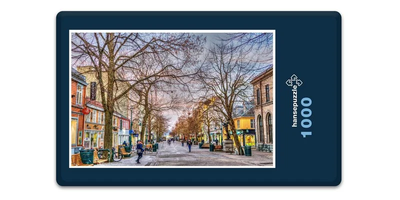 17021 Reisen - Trondheim Puzzle