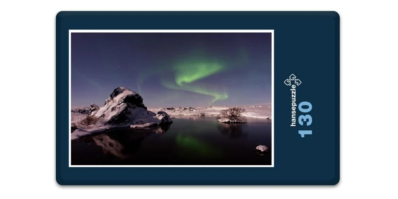 17020 Reisen - Polarlichter Puzzle