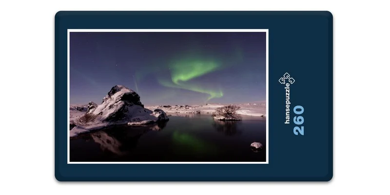 17020 Reisen - Polarlichter Puzzle