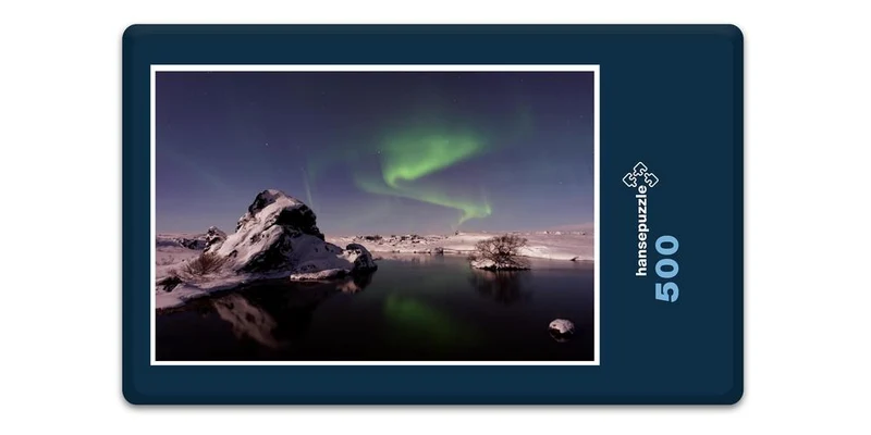 17020 Reisen - Polarlichter Puzzle