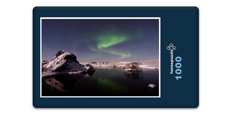 17020 Reisen - Polarlichter Puzzle