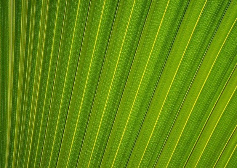28454 Natur - Grün Puzzle