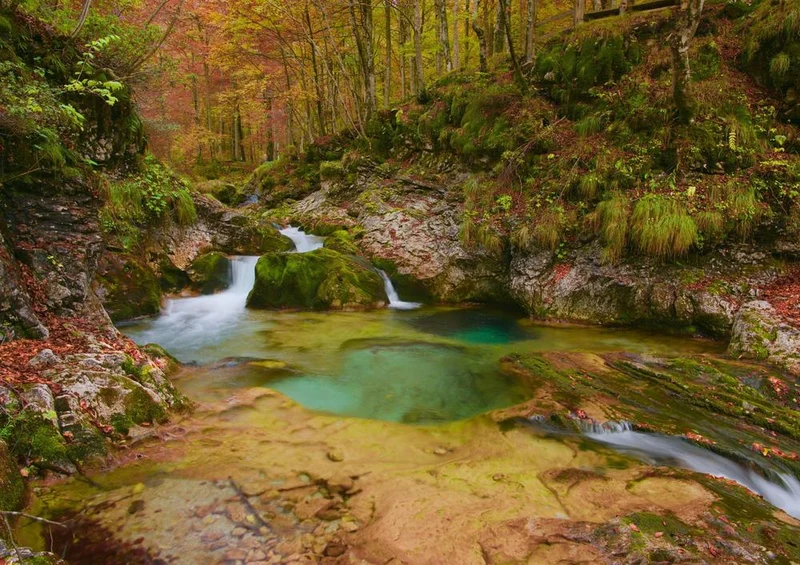 28169 Natur - Wasserlauf Puzzle