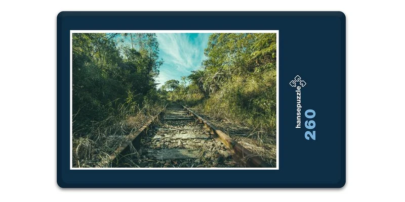 17006 Natur - Schienen Puzzle