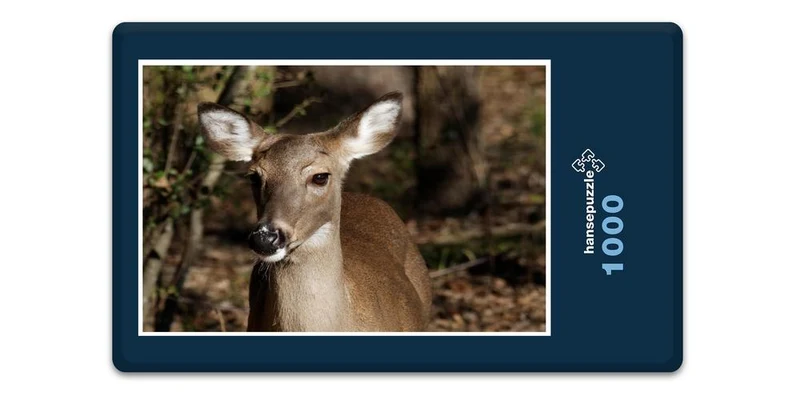 19007 Tierwelt - Reh im Wald Puzzle