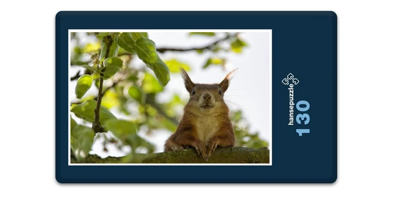 19002 Tierwelt - Ausblick genießen Puzzle