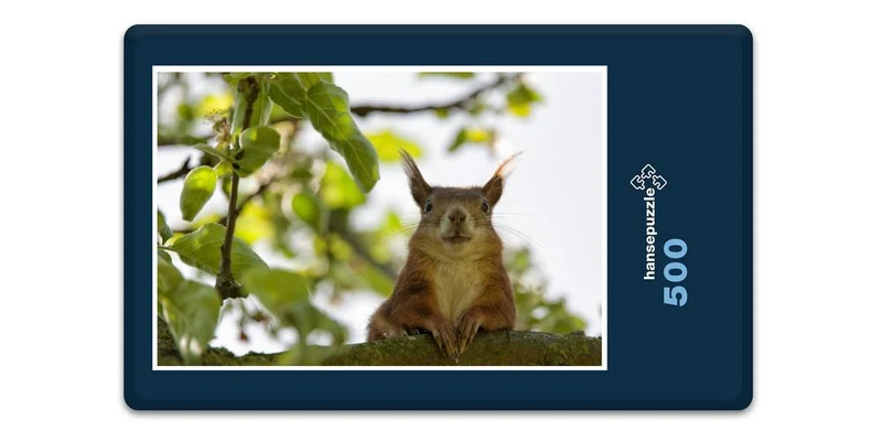 19002 Tierwelt - Ausblick genießen Puzzle