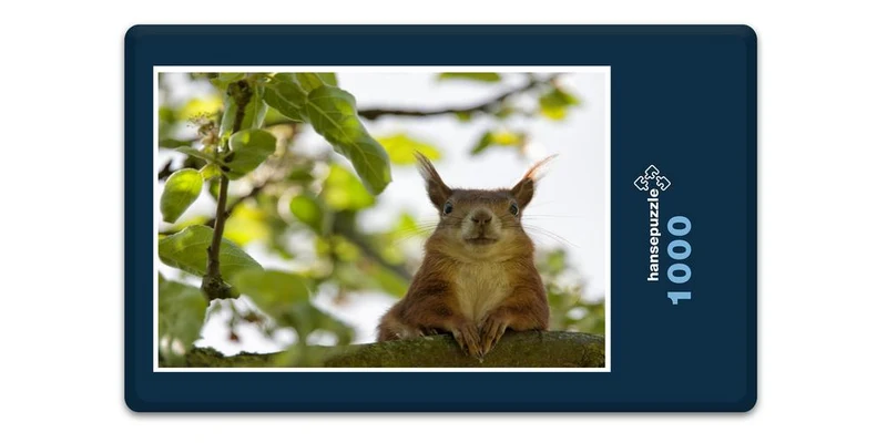 19002 Tierwelt - Ausblick genießen Puzzle