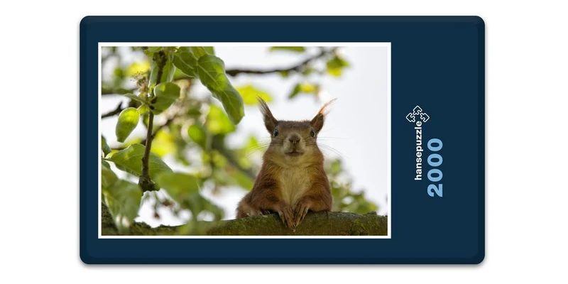 19002 Tierwelt - Ausblick genießen Puzzle