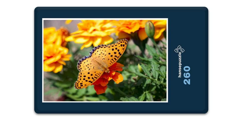18992 Tierwelt - Schmetterling Puzzle