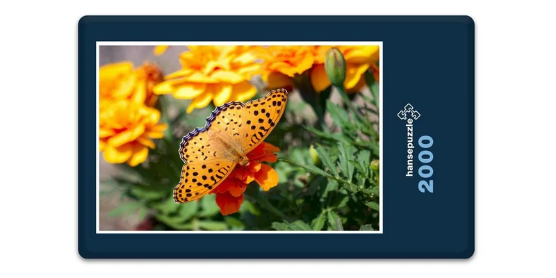18992 Tierwelt - Schmetterling Puzzle
