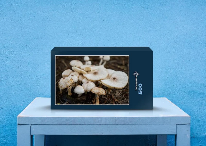 28819 Ernährung - Pilz Puzzle