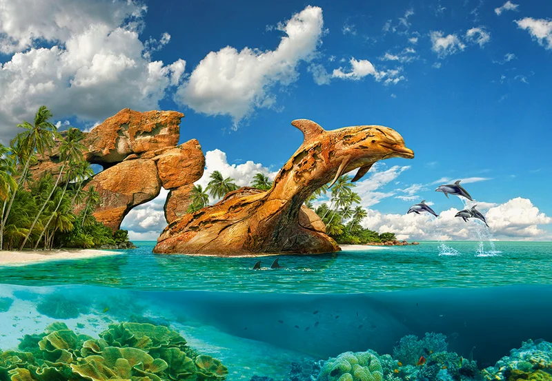 Dolphin Paradise