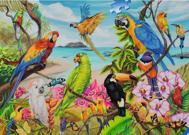 Ravensburger The Coo-au, Joelle McIntyre