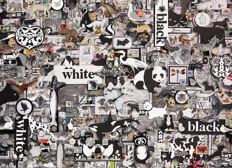 Black & White: Animals, Shelley Davies