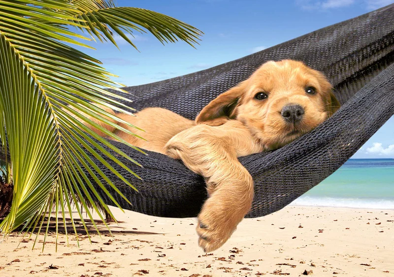 Leisure Time