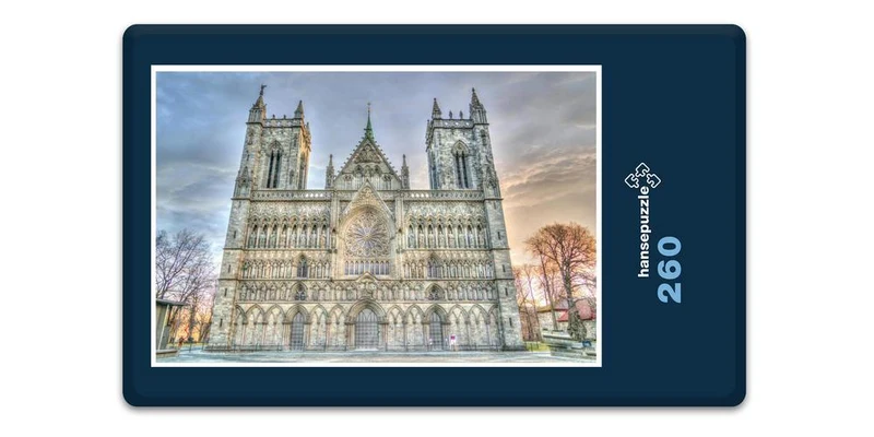 16996 Reisen - Nidarosdom Puzzle