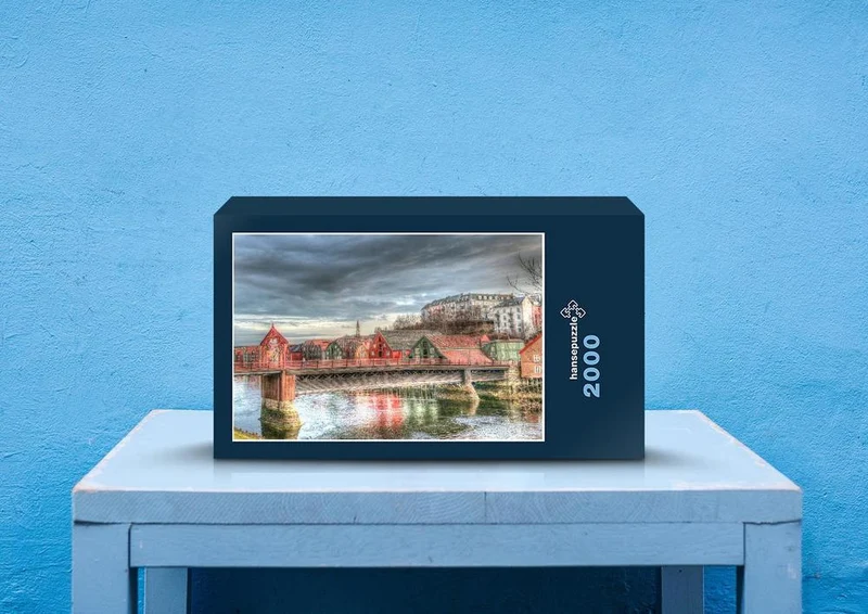 26793 Reisen - Trondheim Puzzle