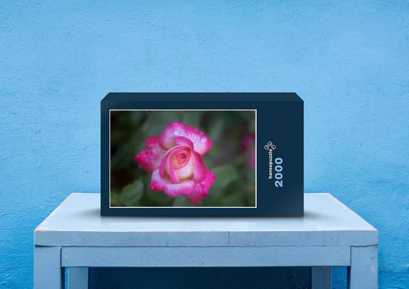 27098 Natur - Rose Puzzle