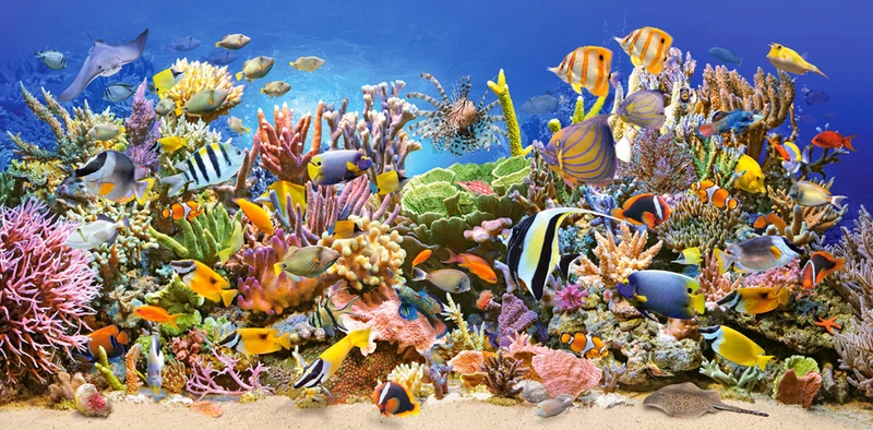 Underwater Life (4000pcs)