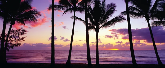 Palm Cove - Queensland, Australia (Panoramic) 136 pcs