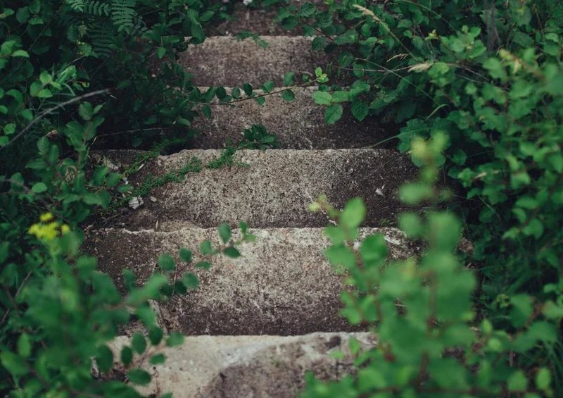 28159 Natur - Treppe Puzzle
