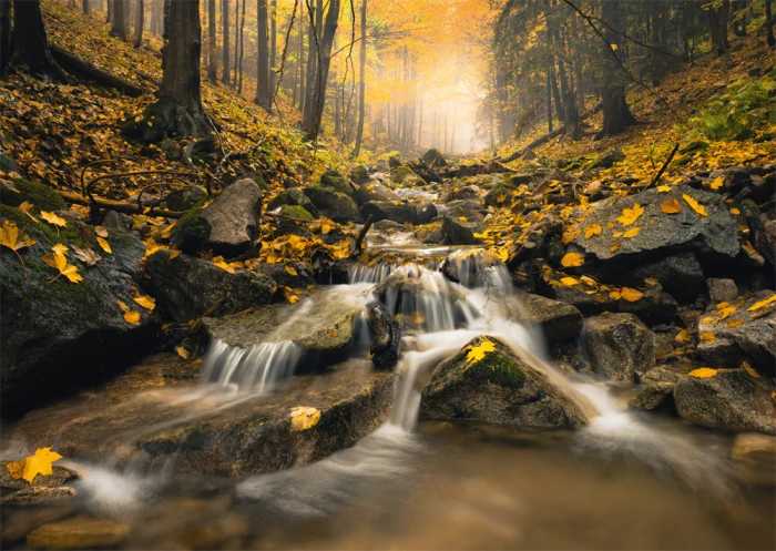Fabulous Brook, Stefan Hefele